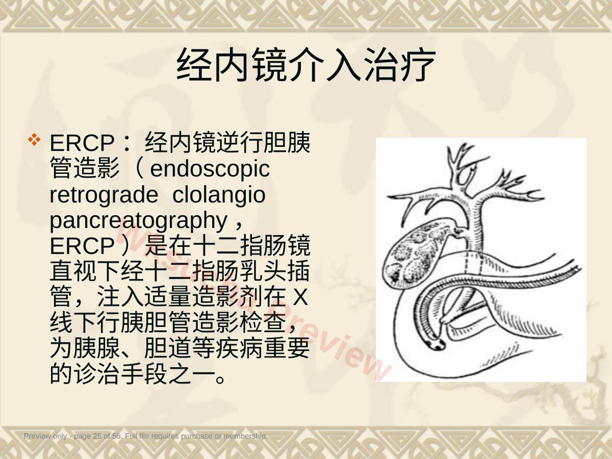 预览第 25 页