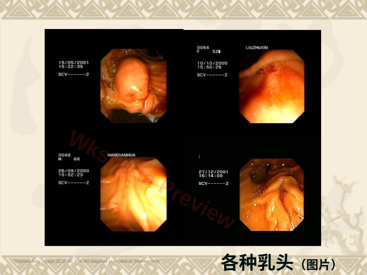 预览第 32 页