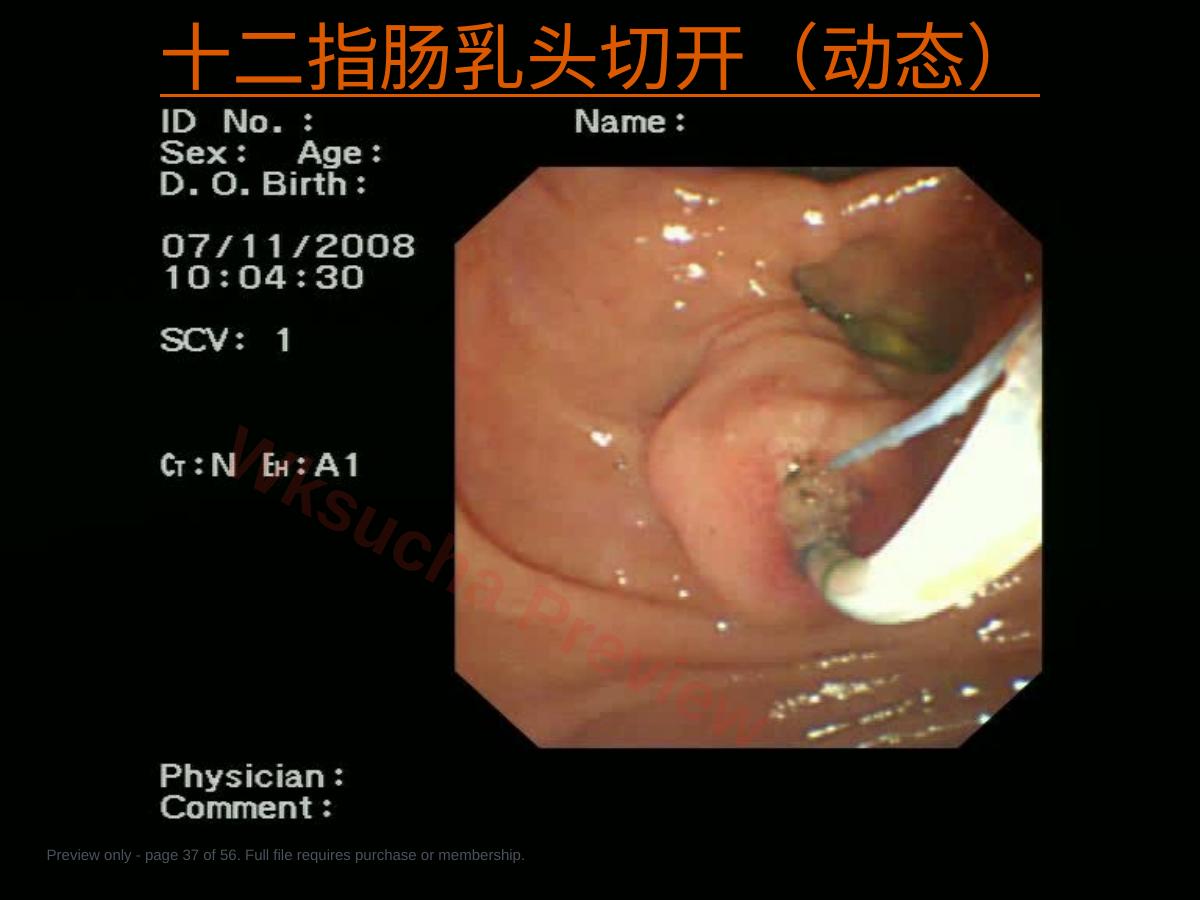 预览第 37 页
