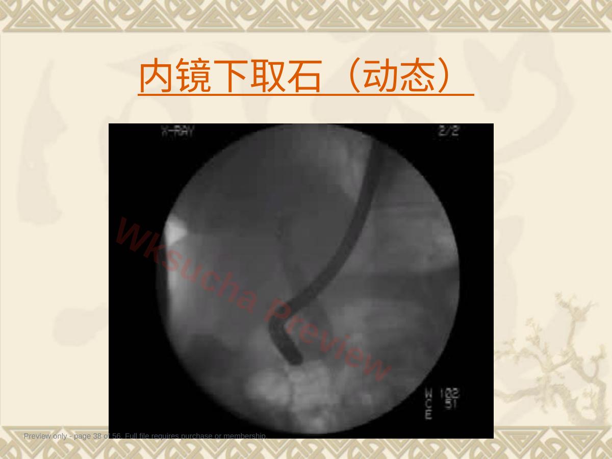 预览第 38 页
