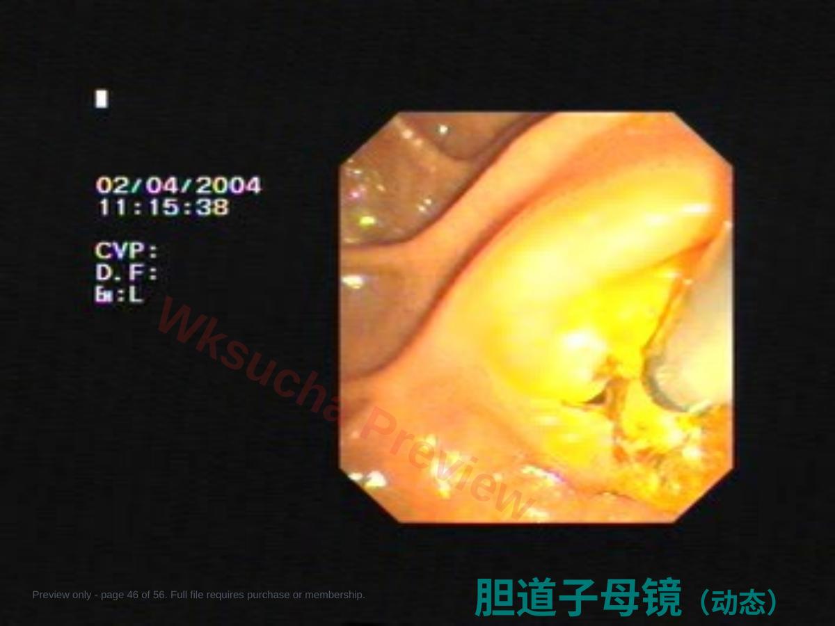 预览第 46 页
