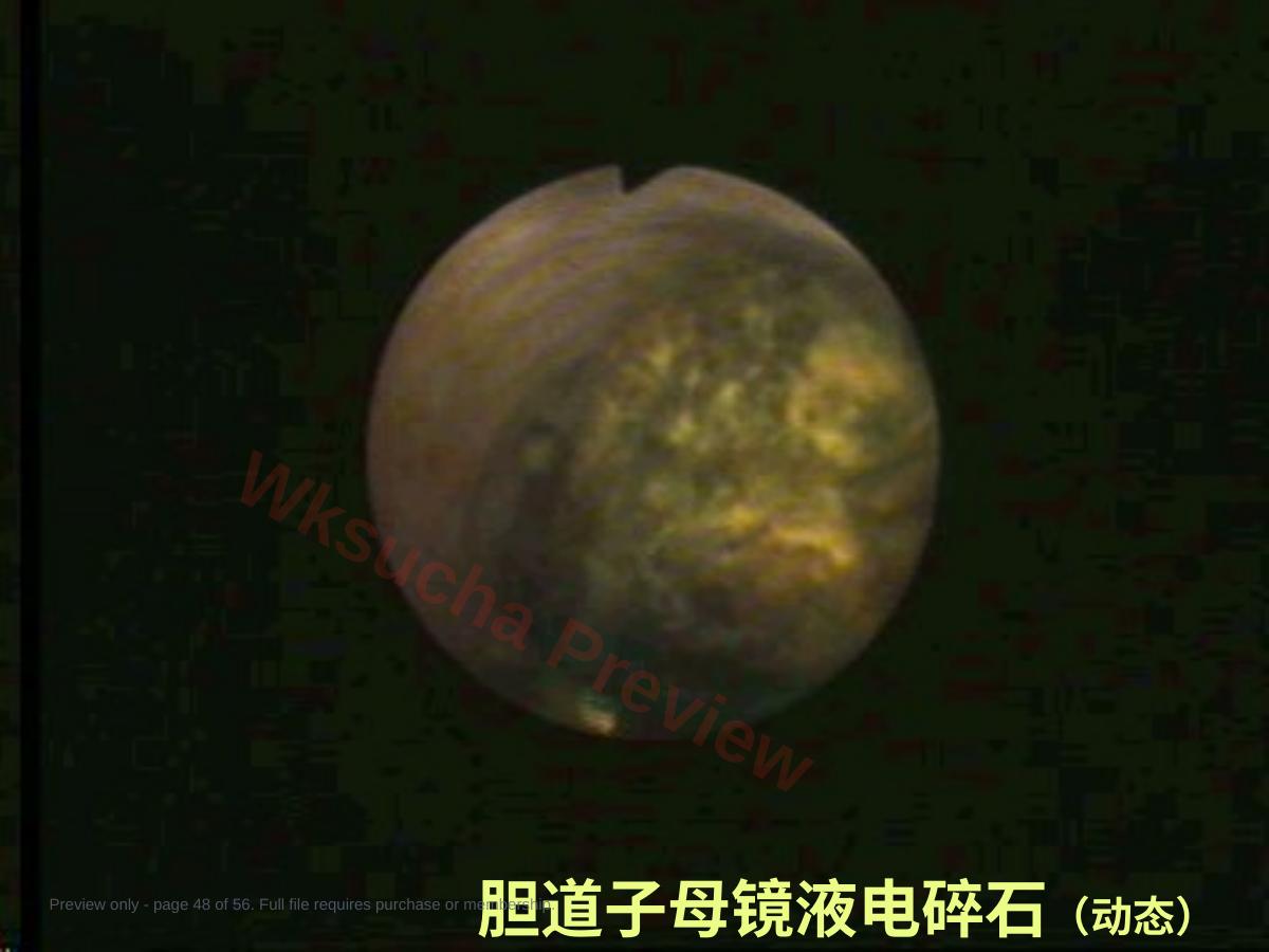 预览第 48 页