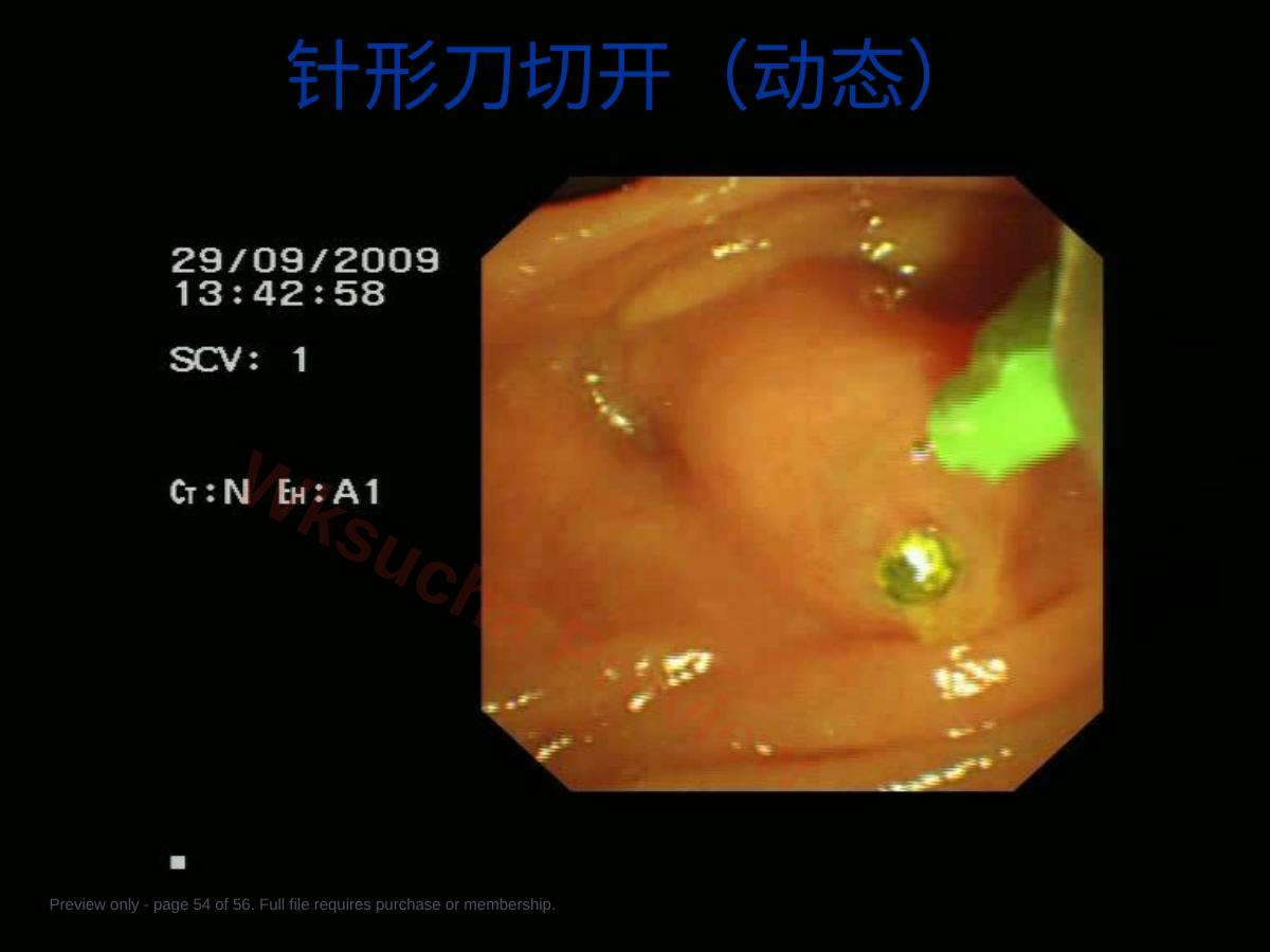 预览第 54 页