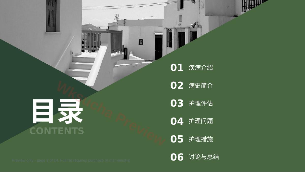 预览第 2 页