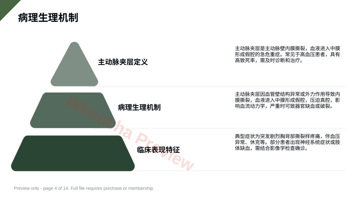 预览第 4 页