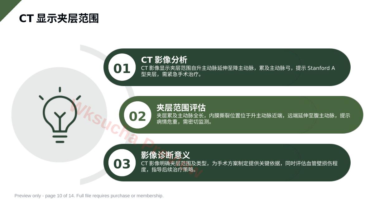 预览第 10 页