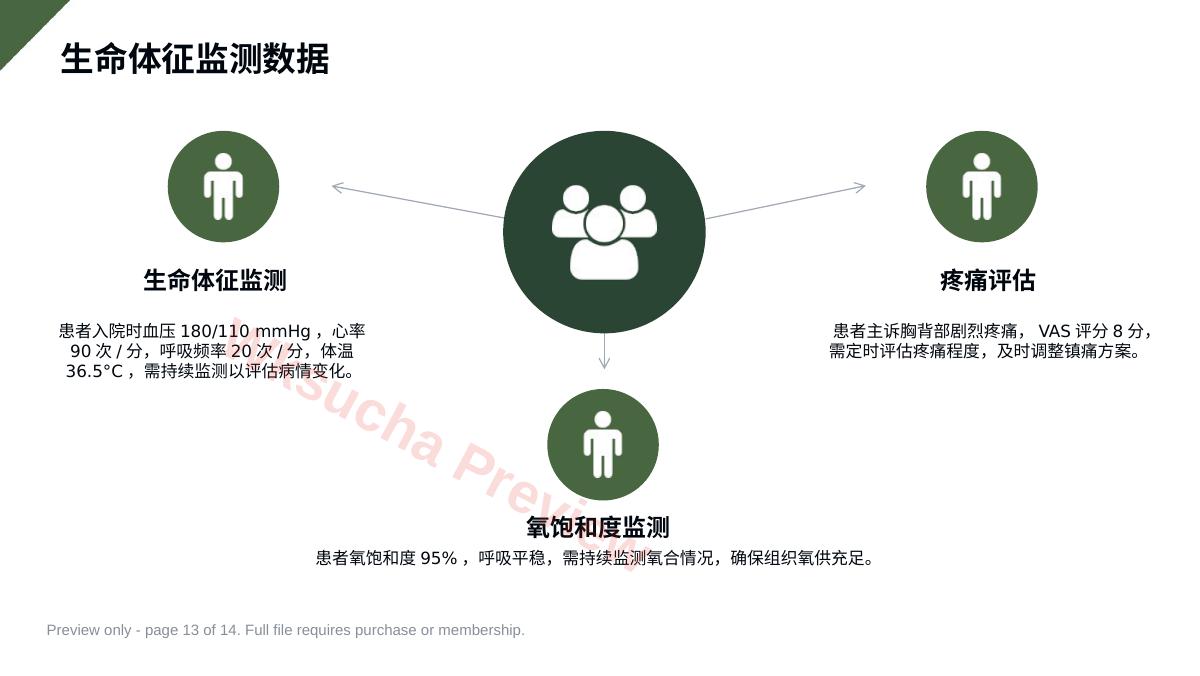 预览第 13 页