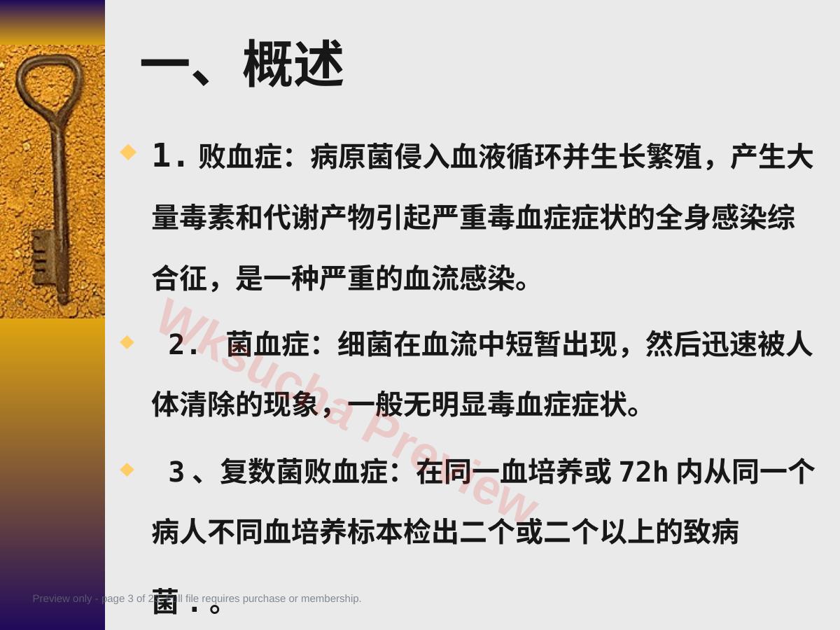 预览第 3 页