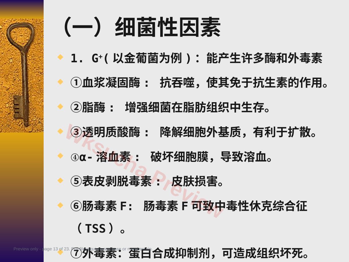 预览第 13 页