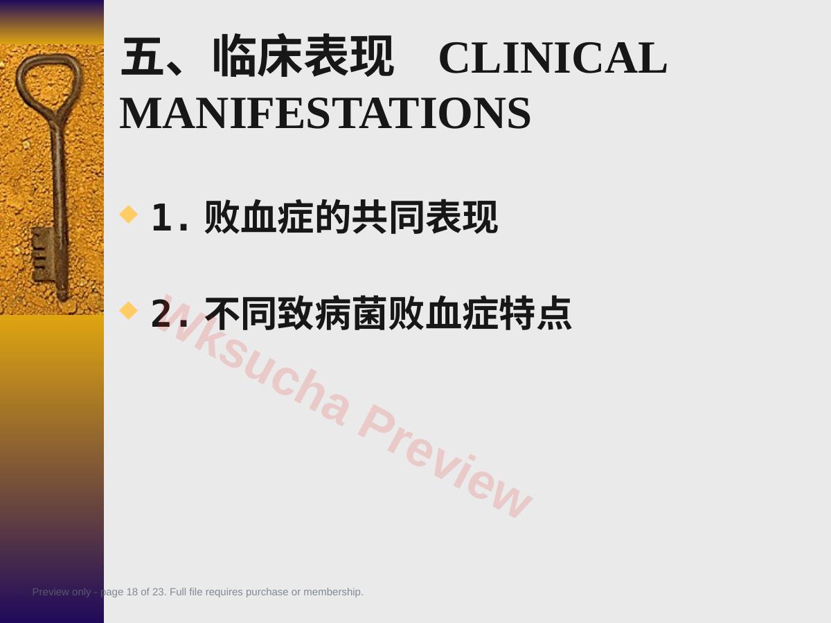 预览第 18 页