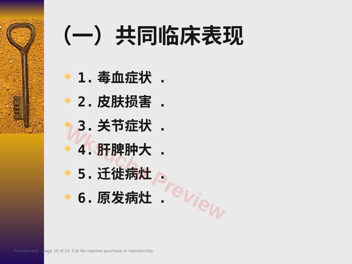 预览第 19 页