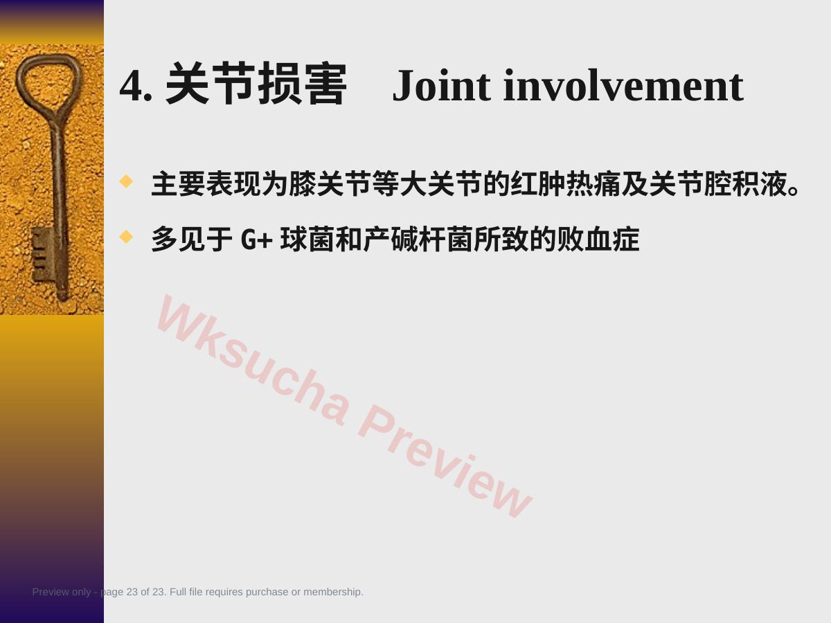 预览第 23 页