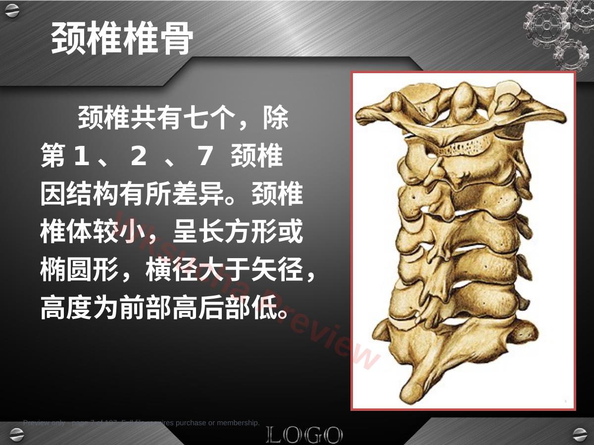 预览第 7 页