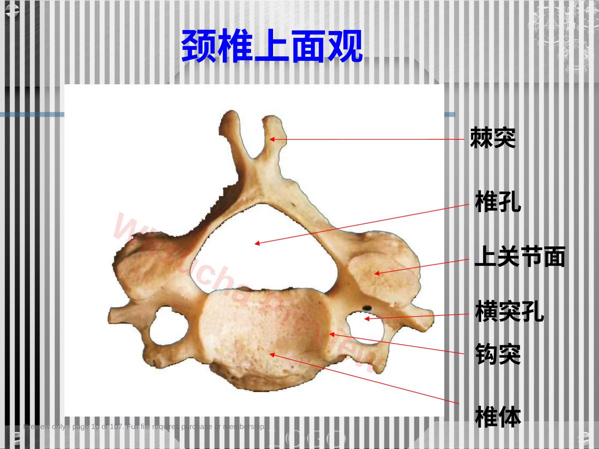 预览第 10 页