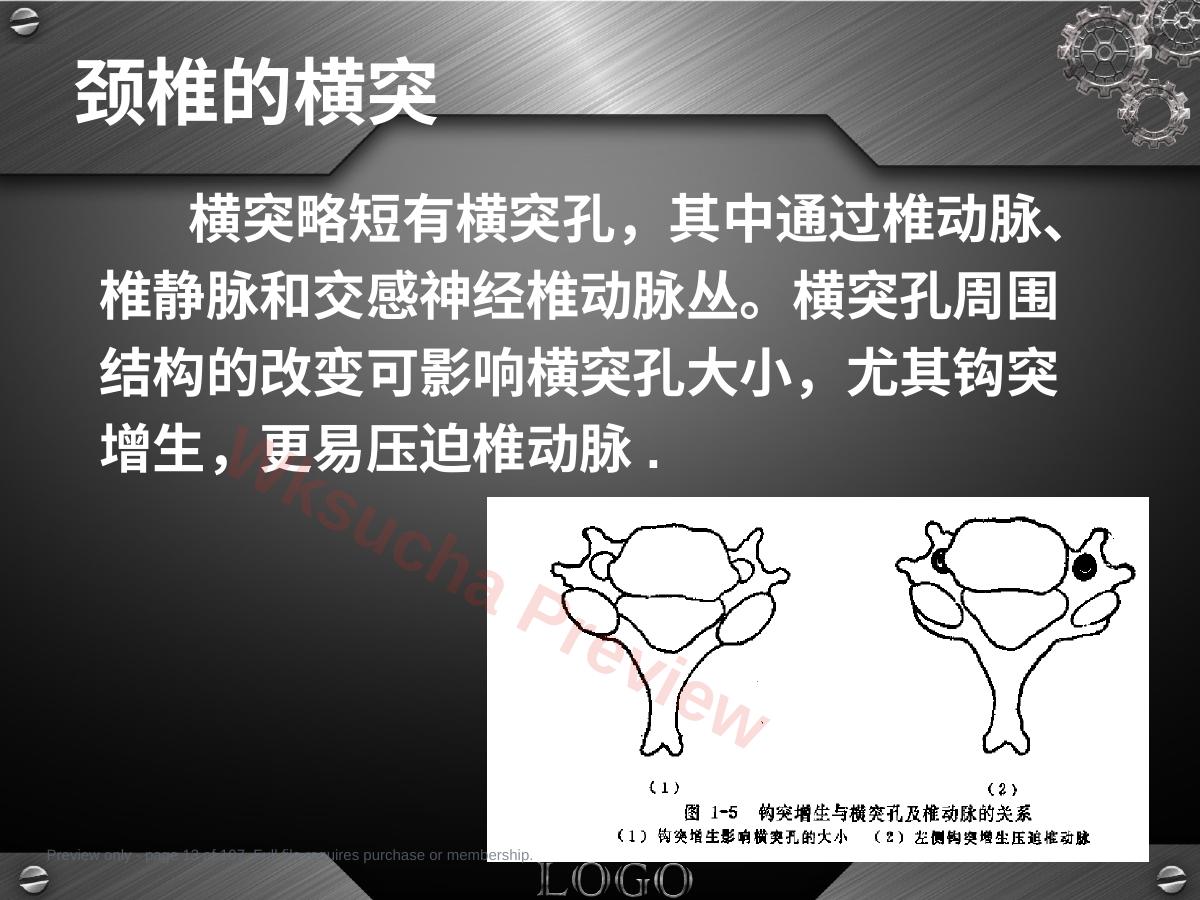 预览第 13 页