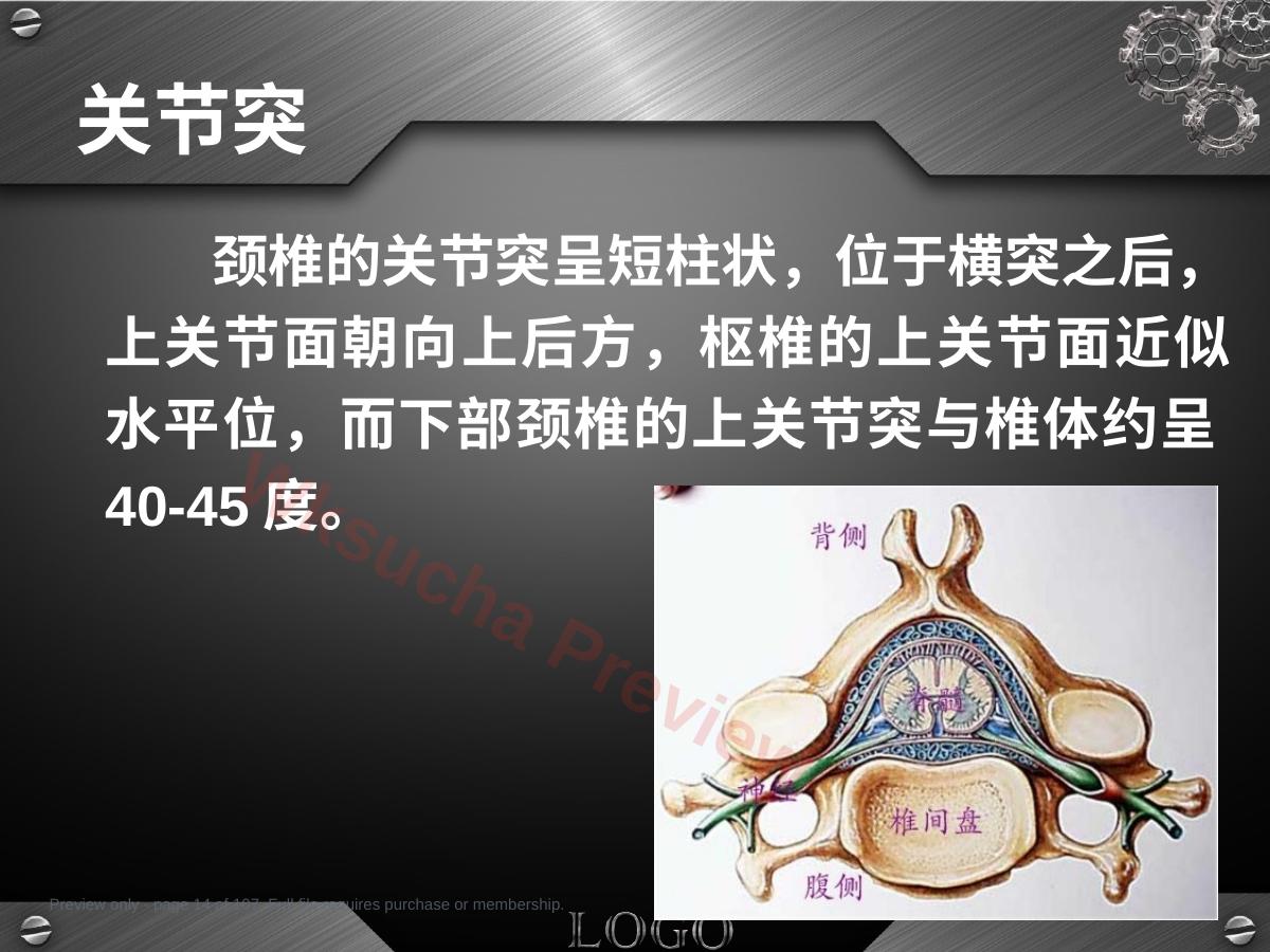 预览第 14 页
