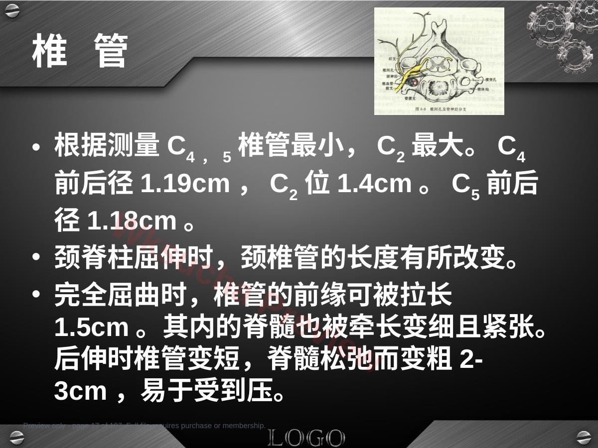 预览第 17 页