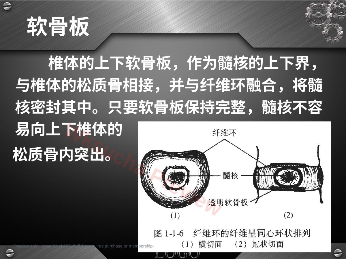 预览第 21 页