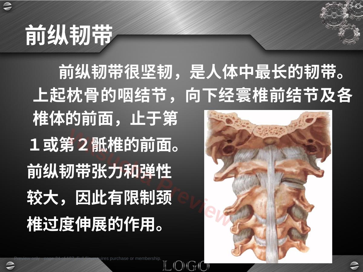 预览第 24 页