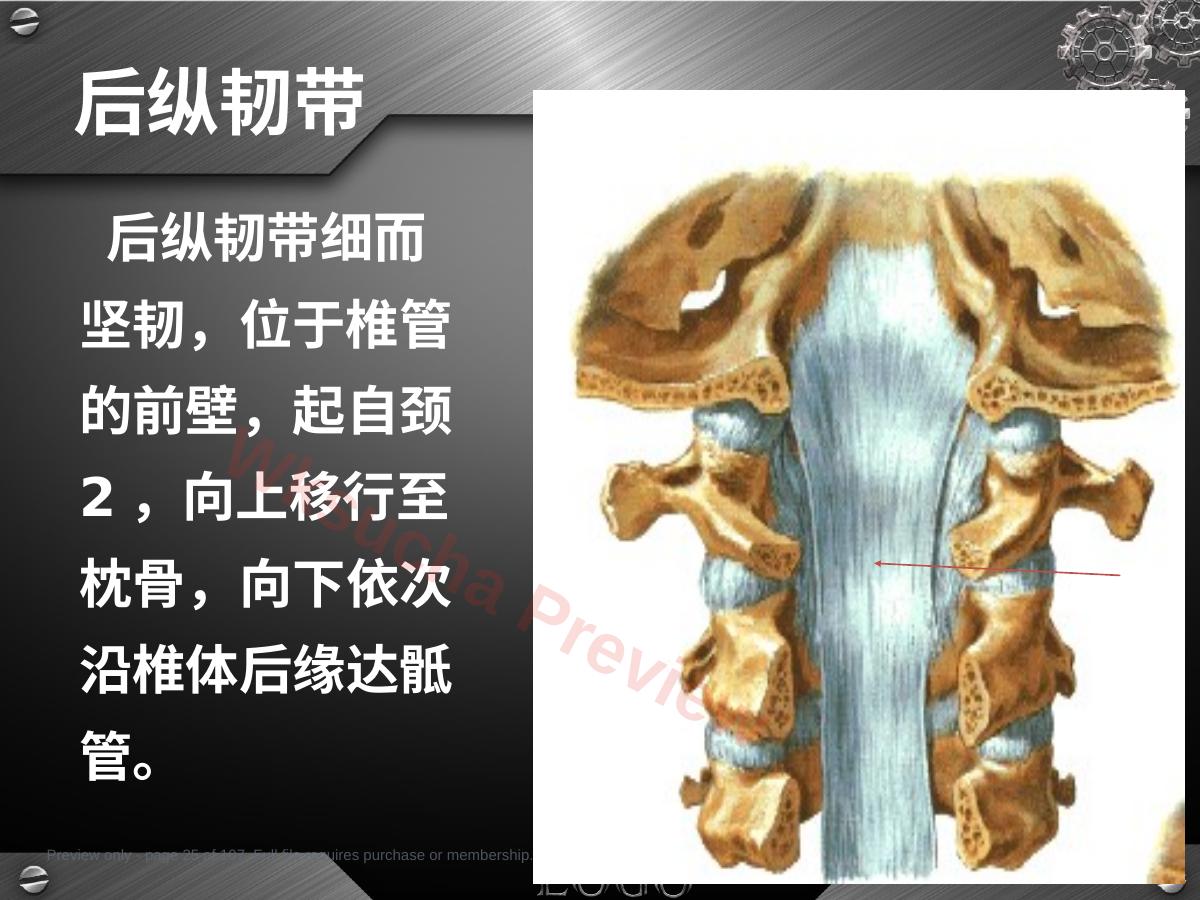 预览第 25 页