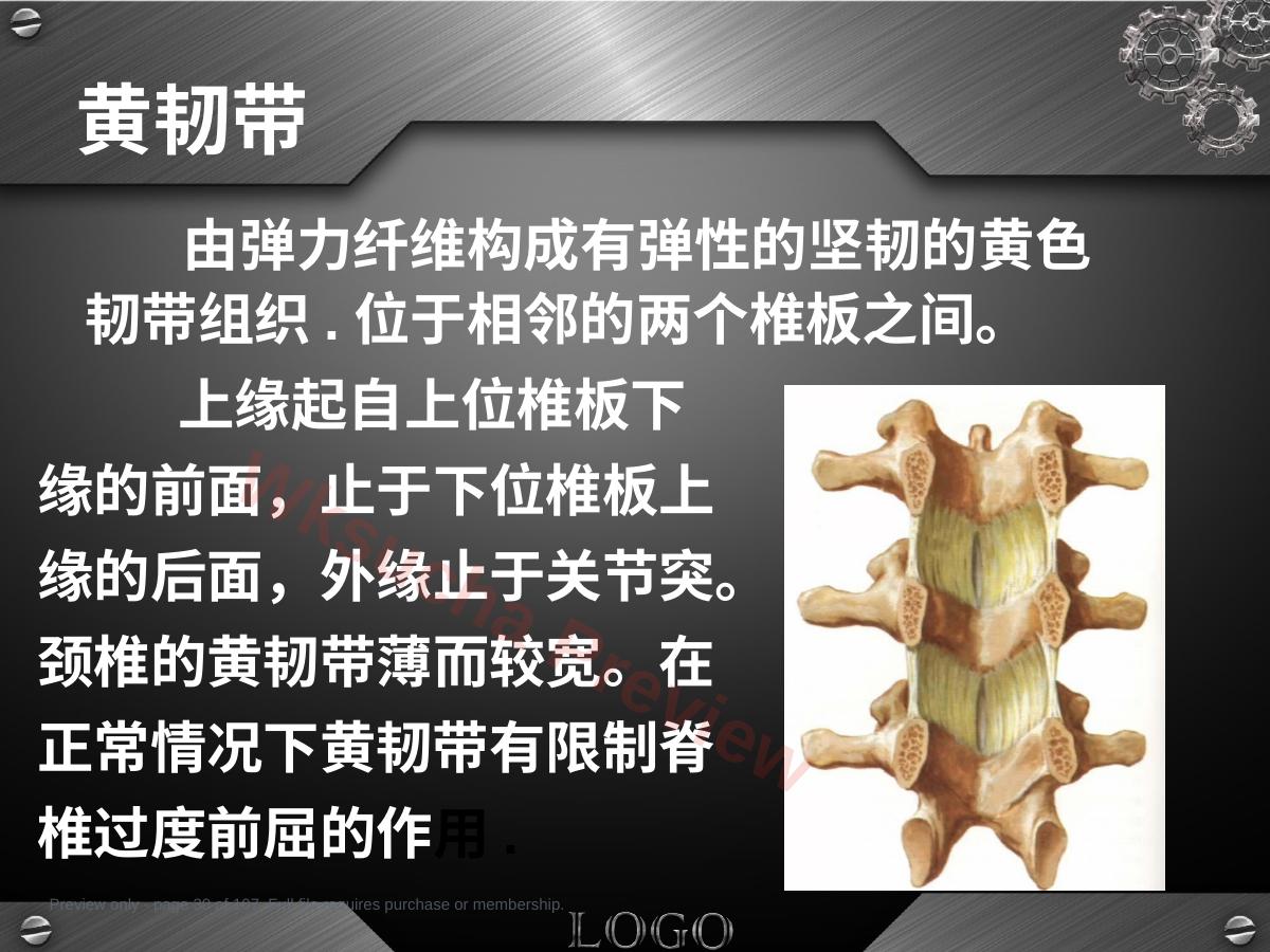 预览第 30 页