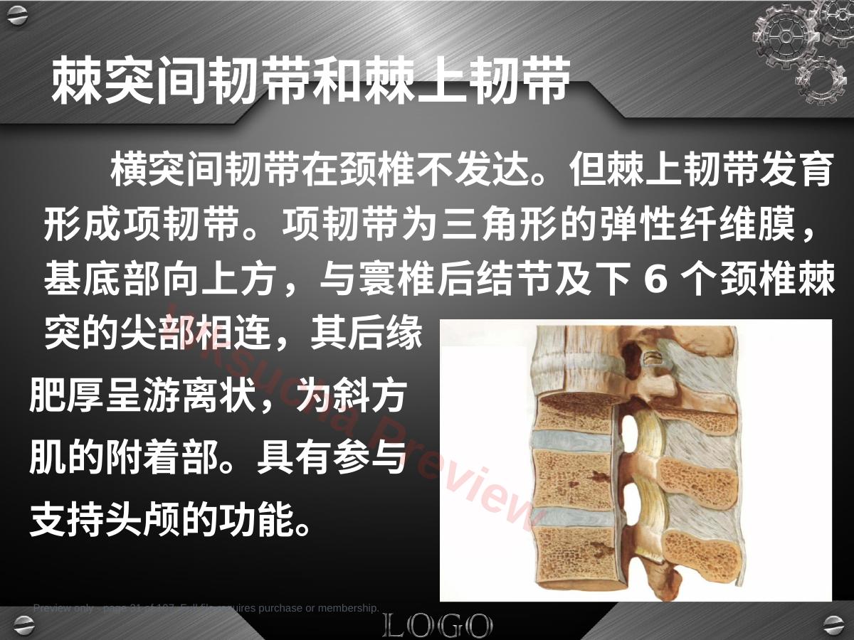 预览第 31 页