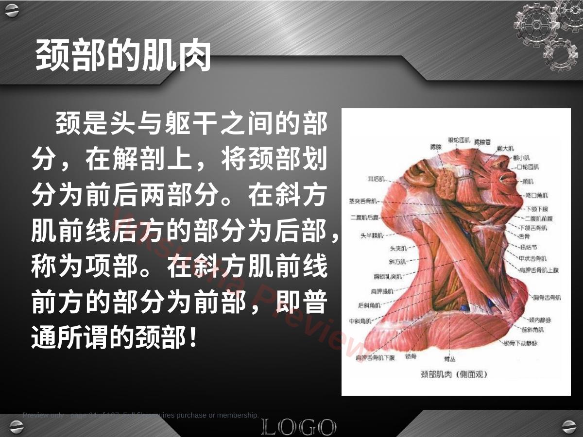 预览第 34 页