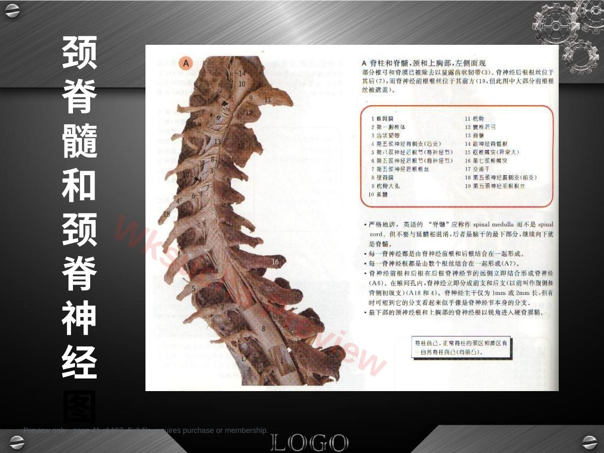 预览第 41 页