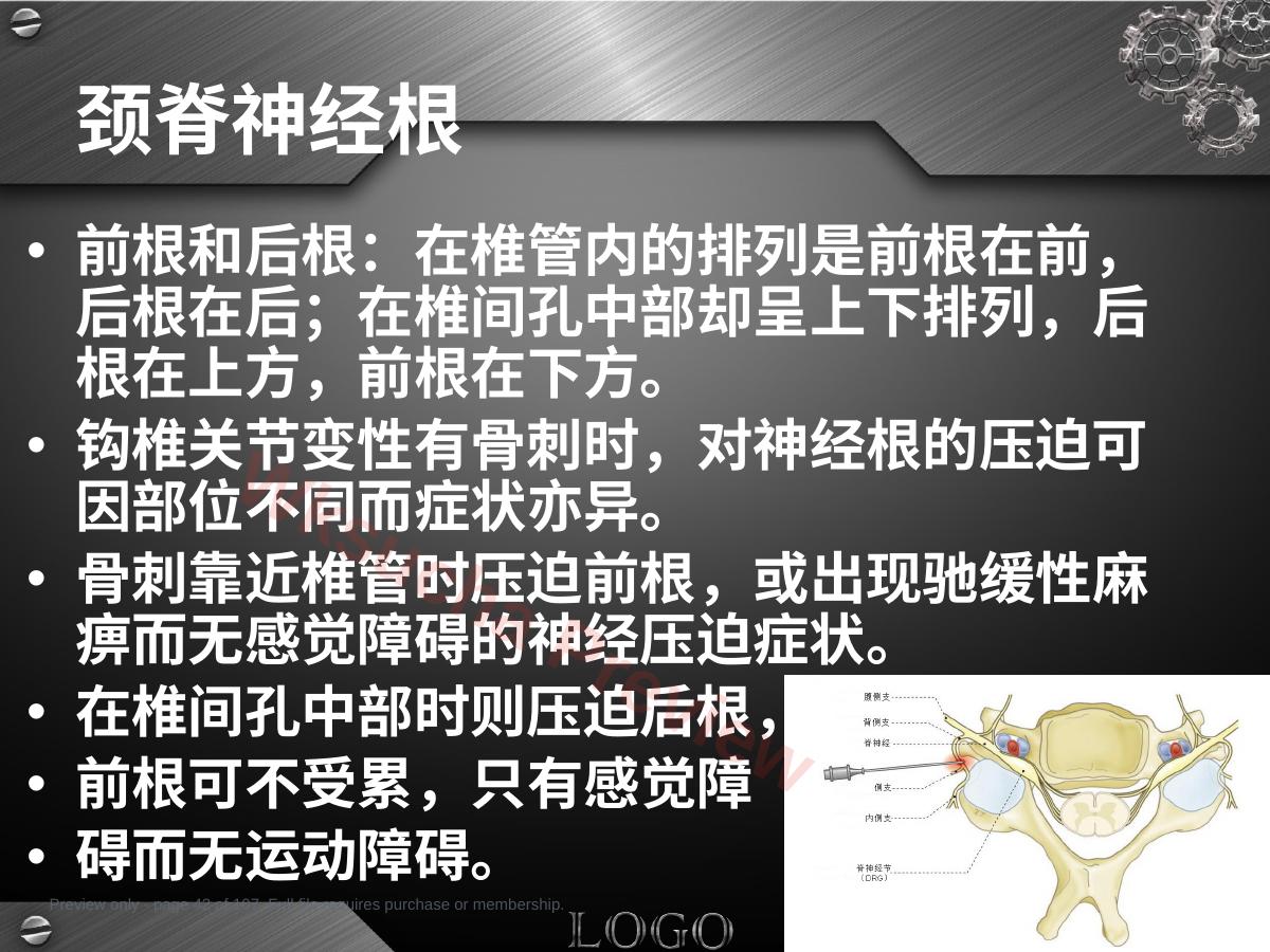 预览第 42 页