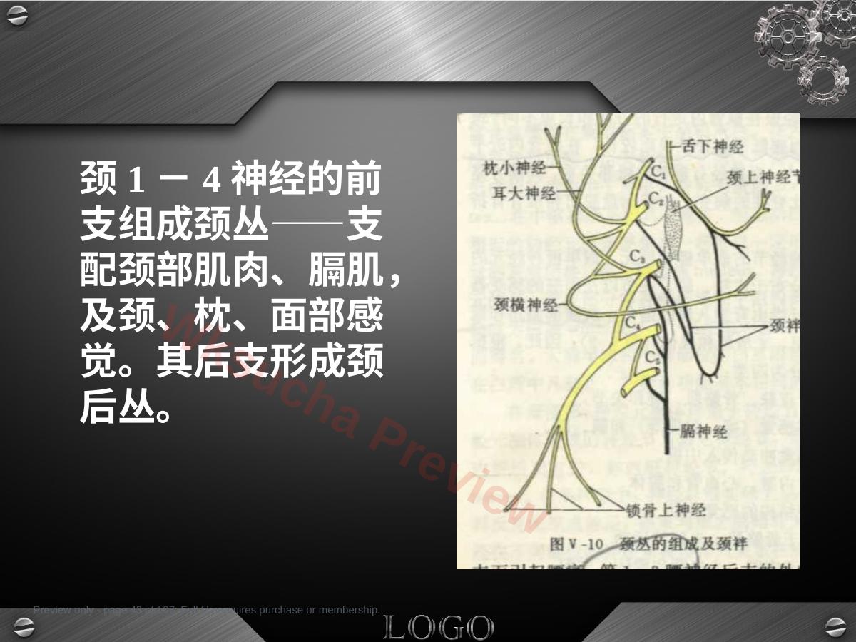 预览第 43 页