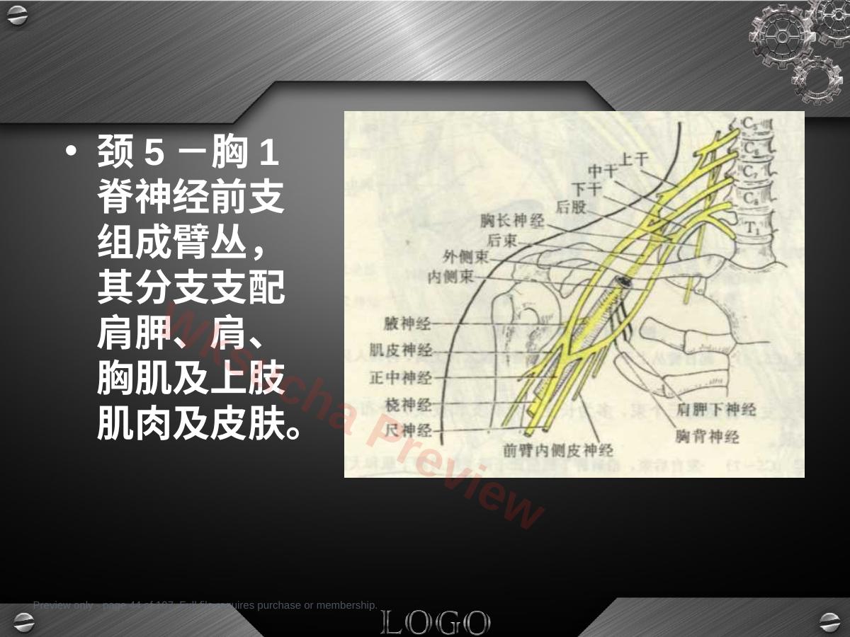 预览第 44 页