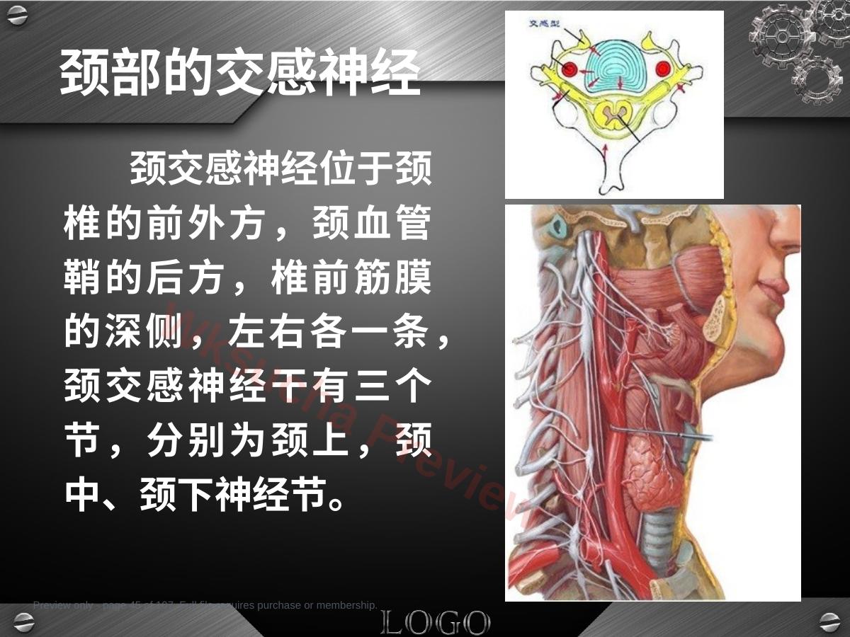 预览第 45 页