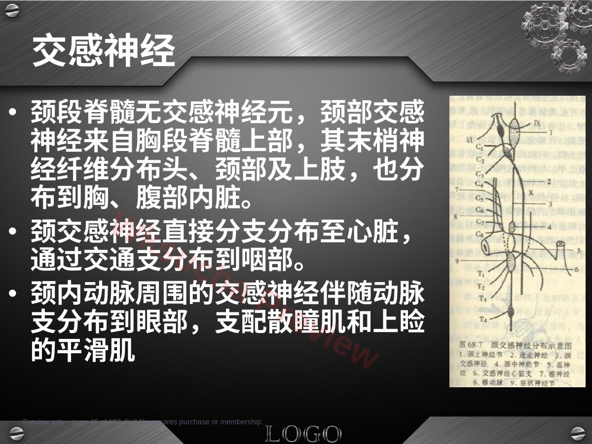 预览第 46 页