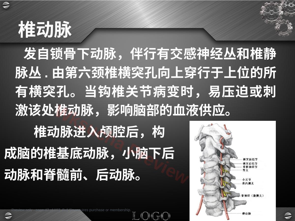 预览第 47 页