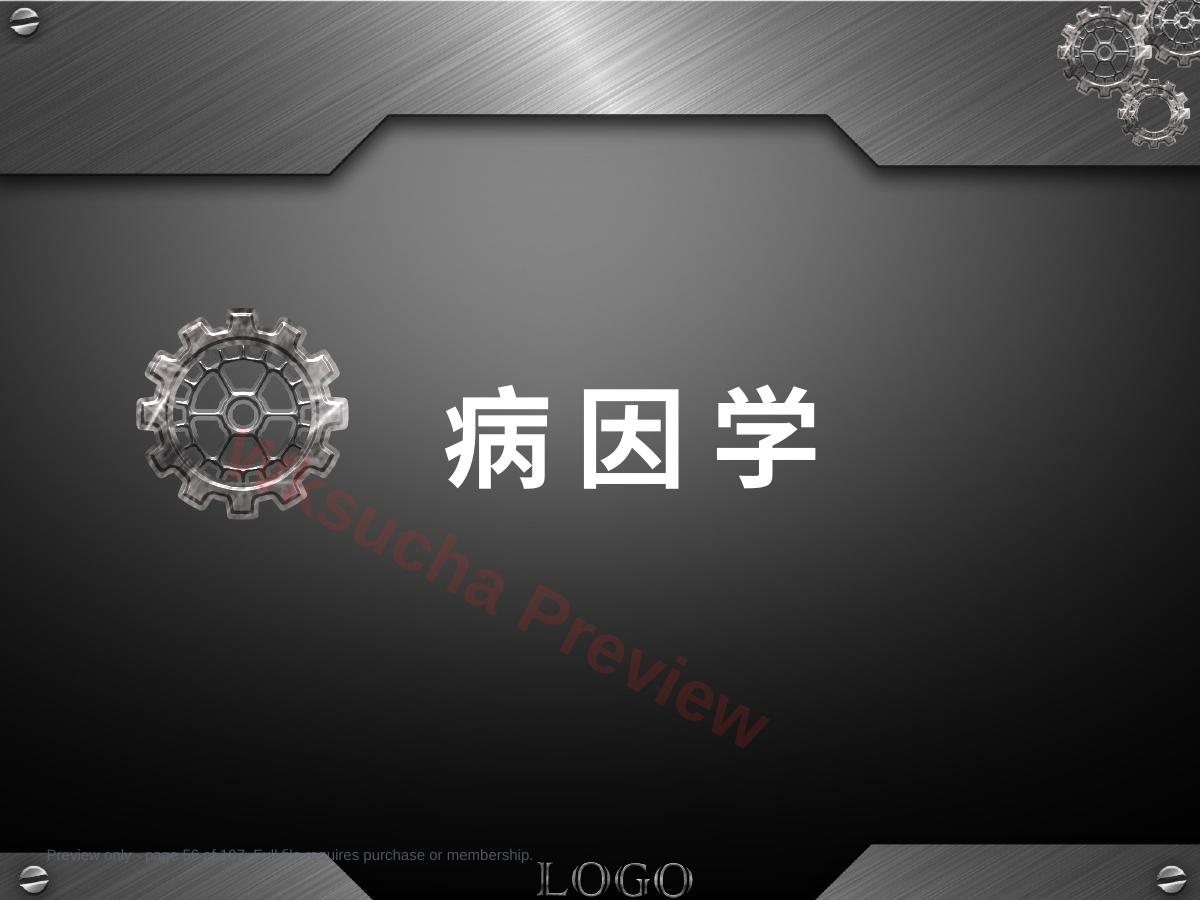 预览第 56 页