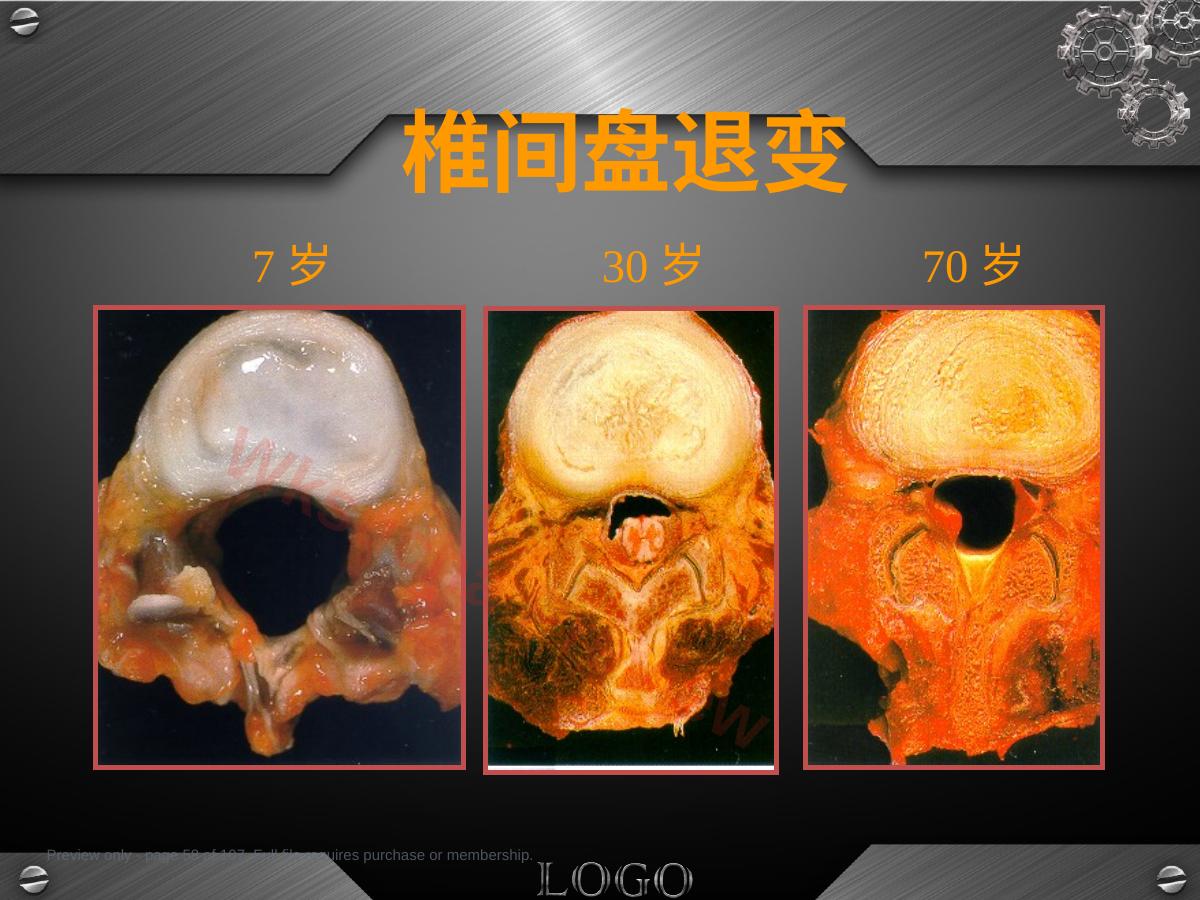 预览第 58 页