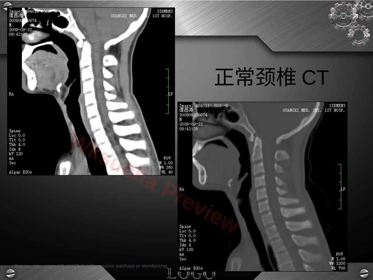 预览第 106 页