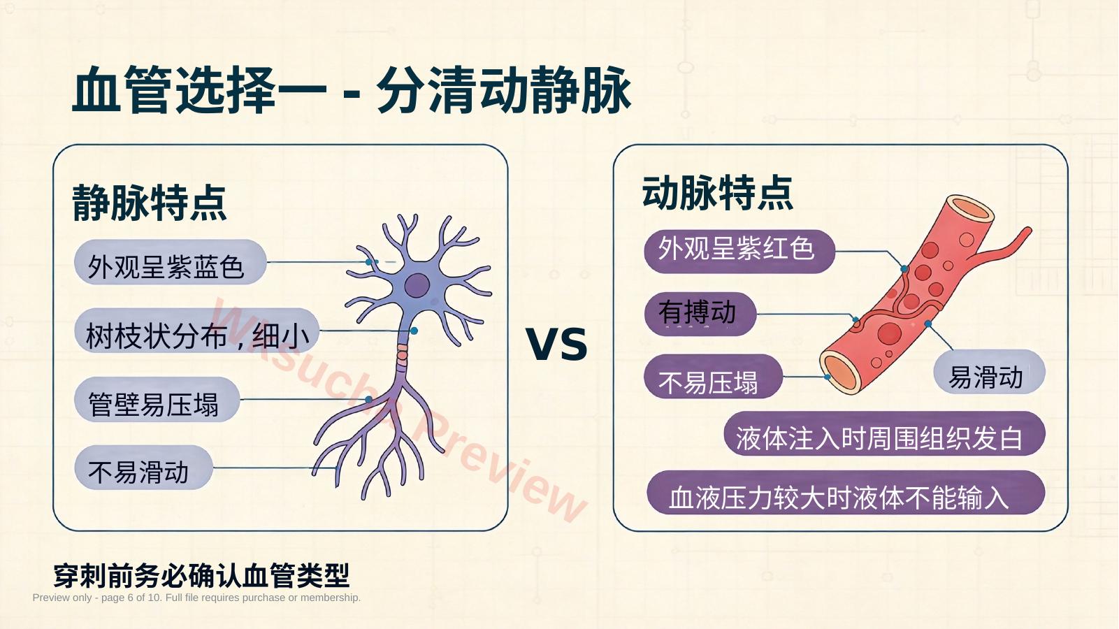 预览第 6 页