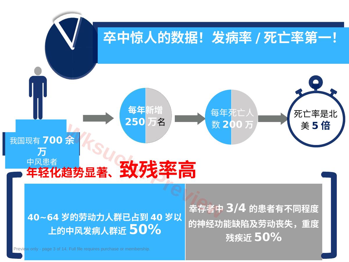 预览第 3 页