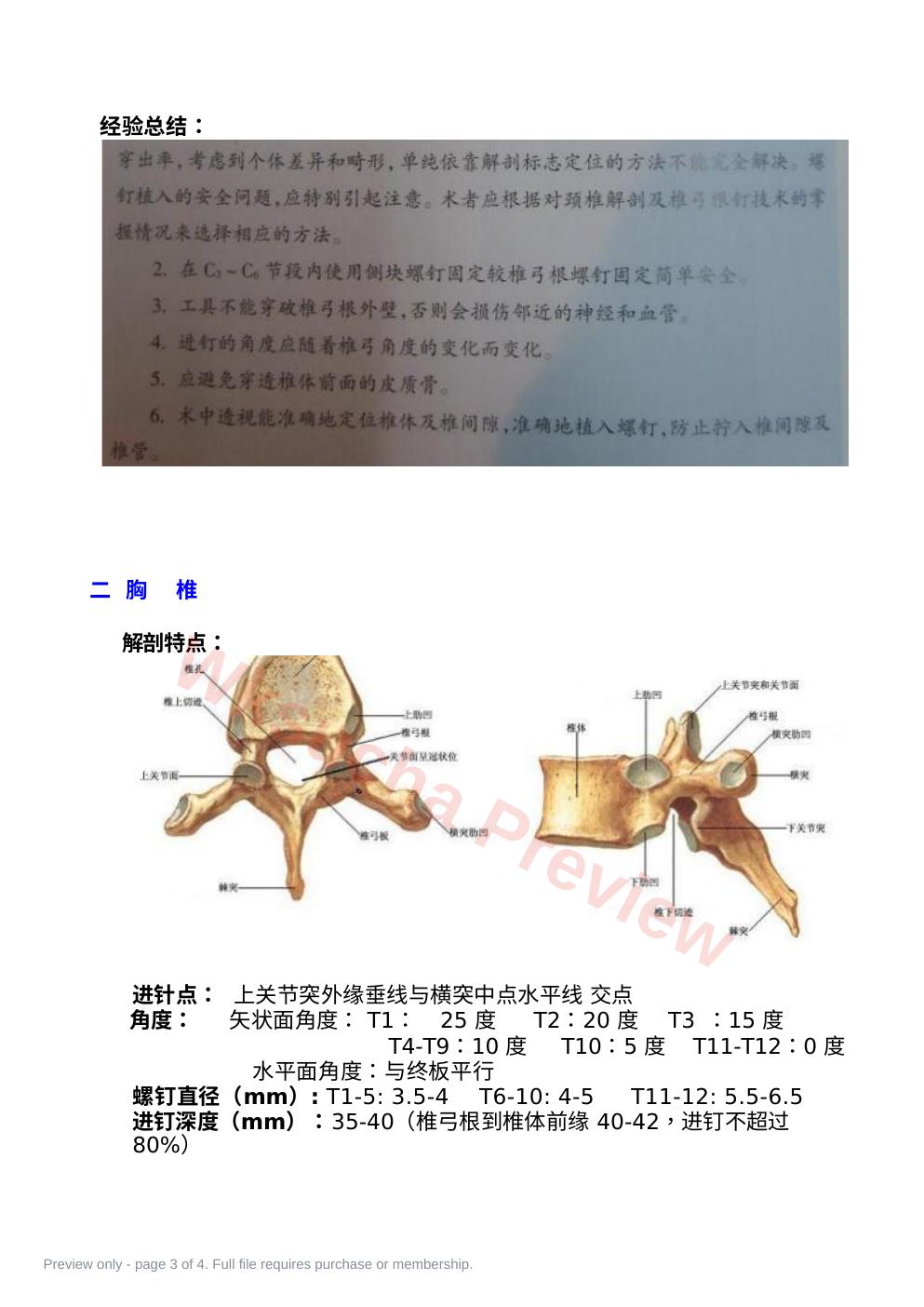 预览第 3 页