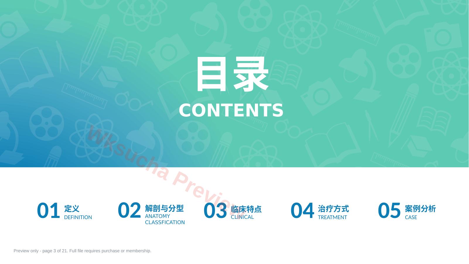 预览第 3 页