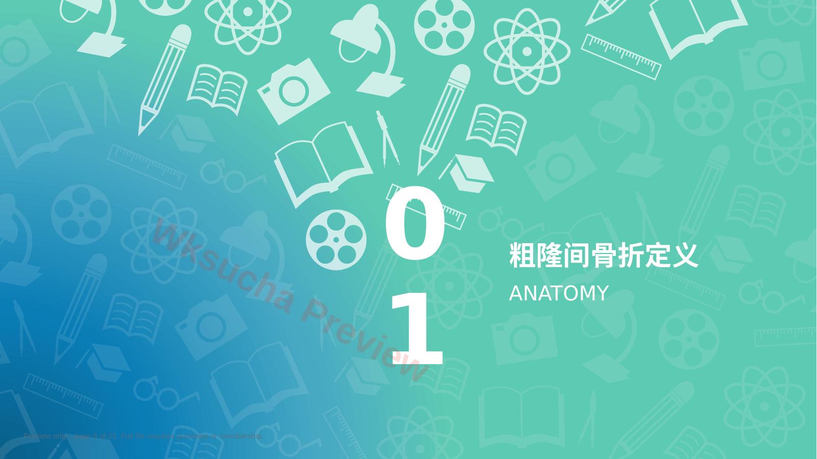 预览第 5 页