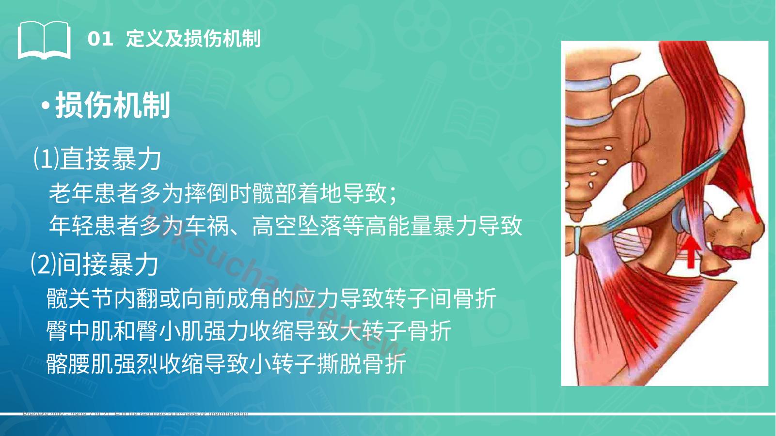 预览第 7 页