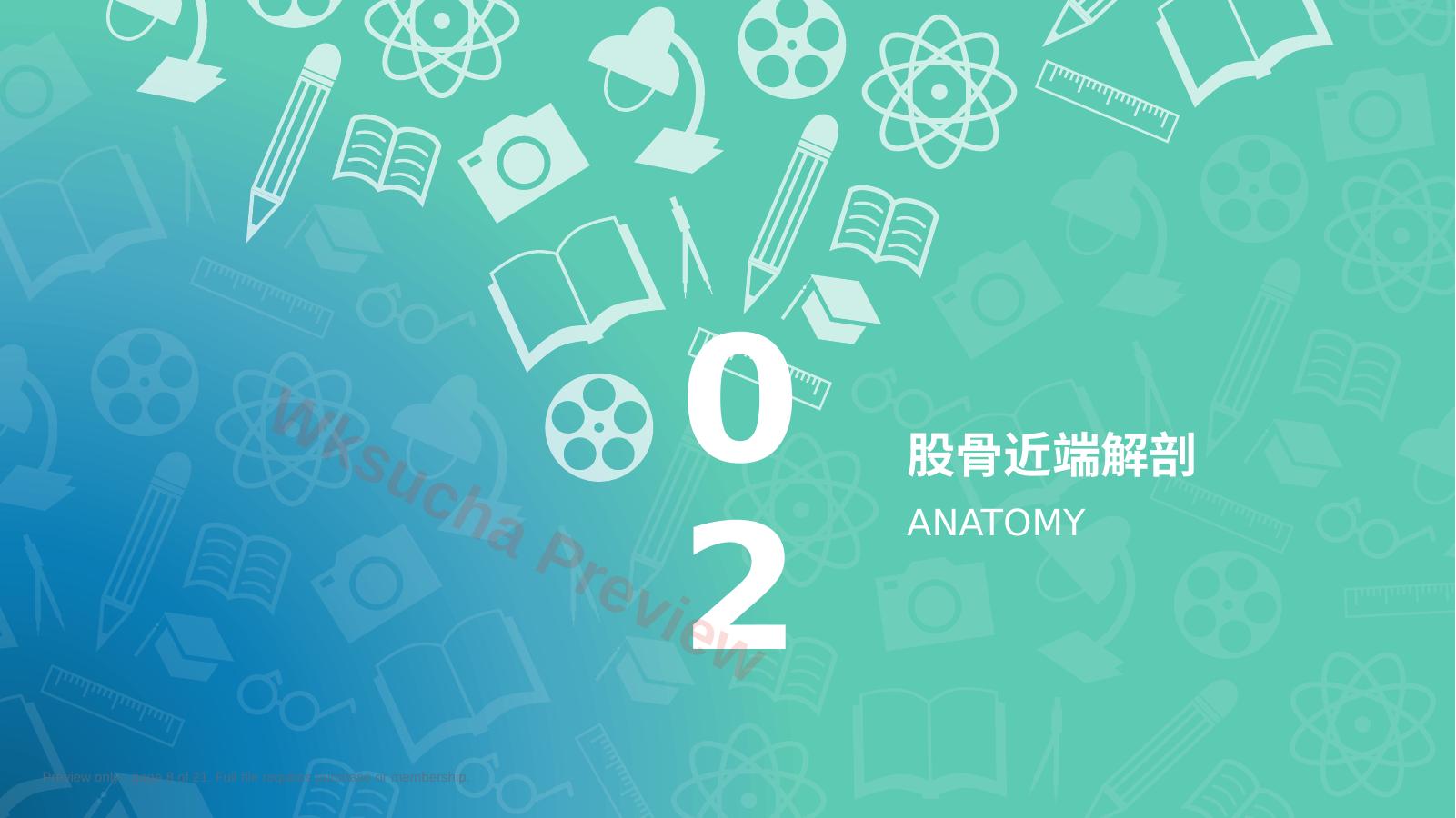 预览第 8 页