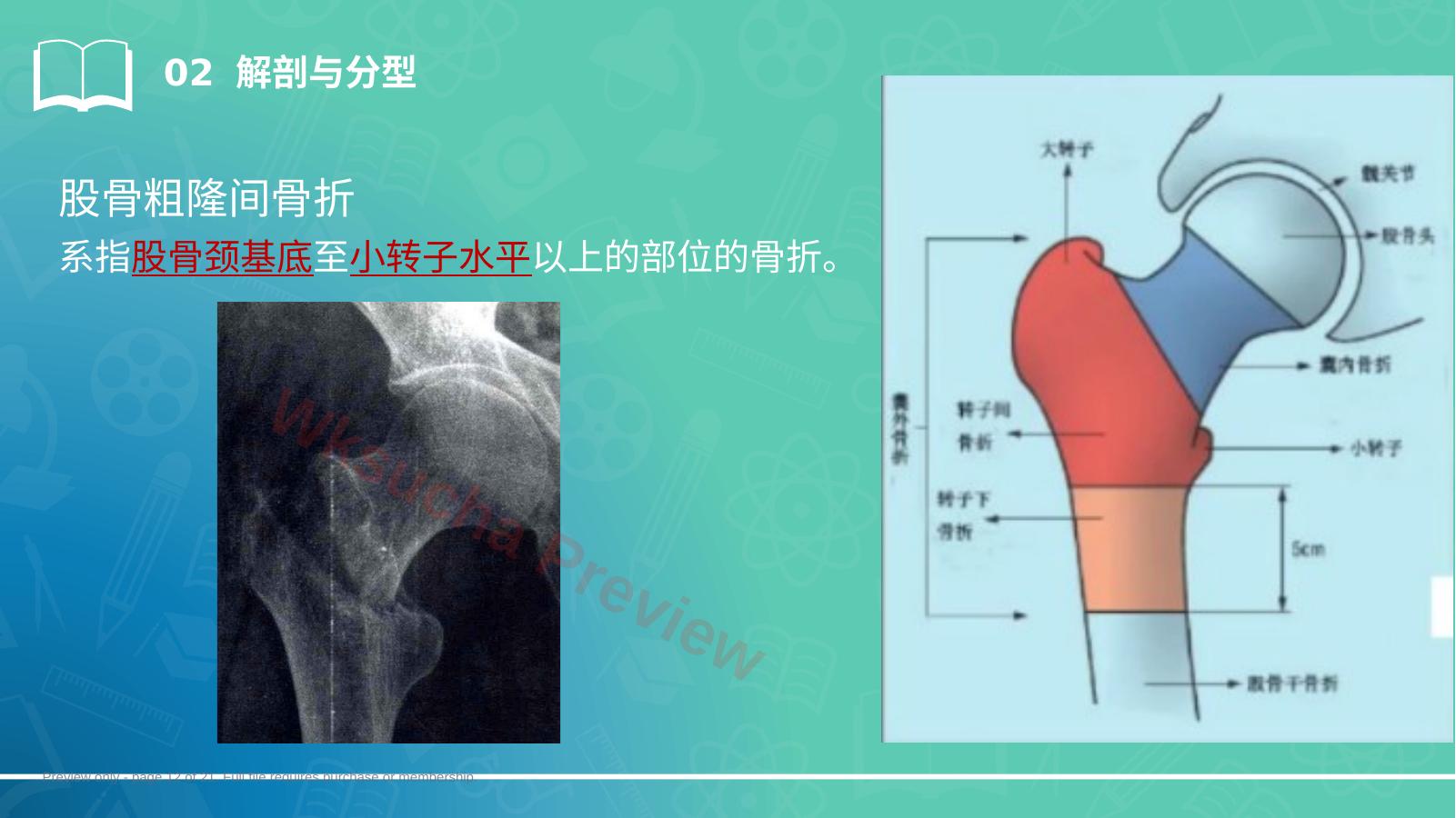 预览第 12 页