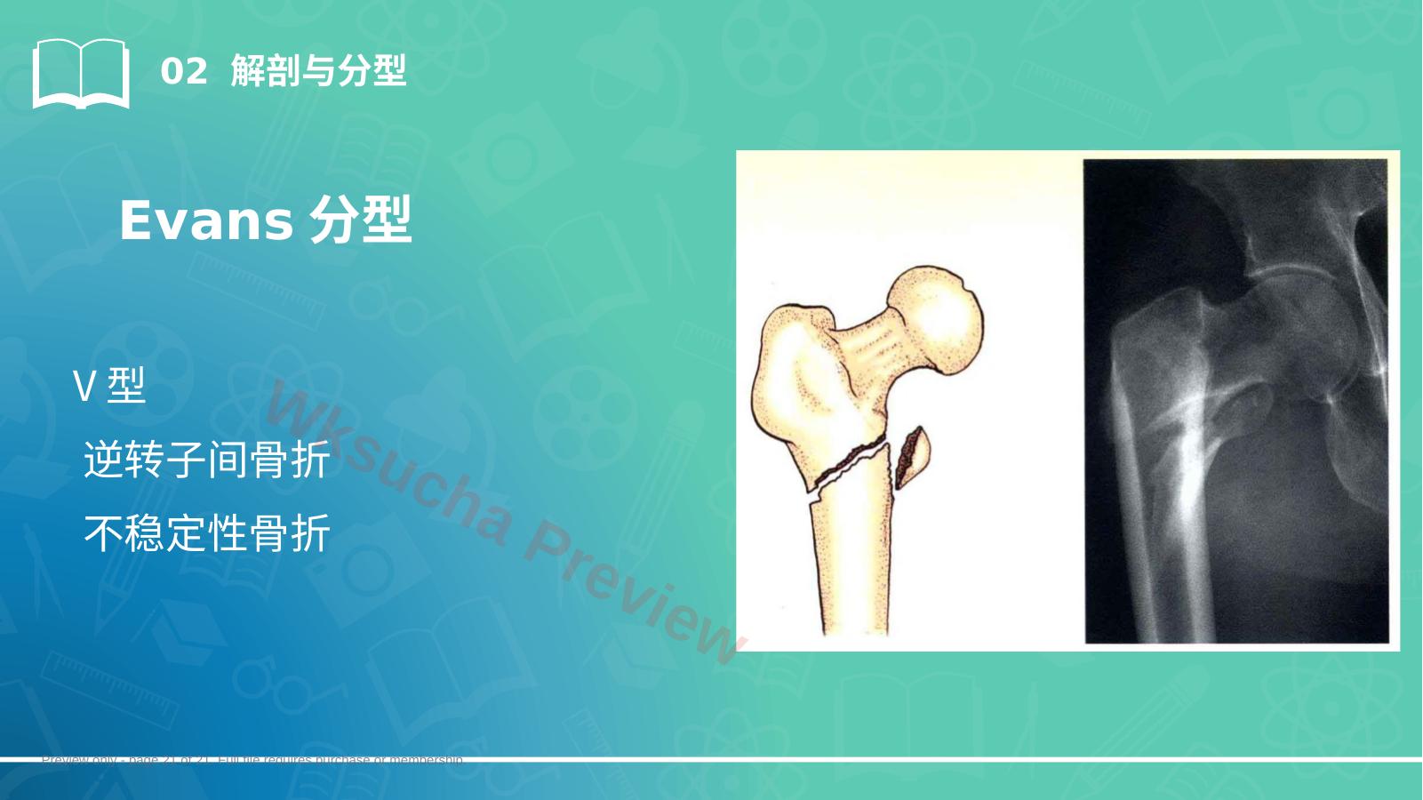 预览第 21 页