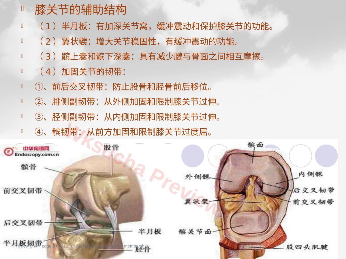预览第 3 页