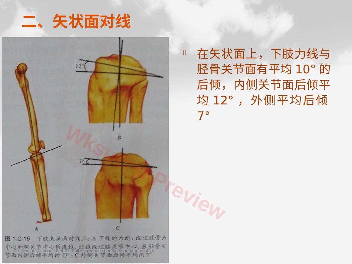 预览第 18 页