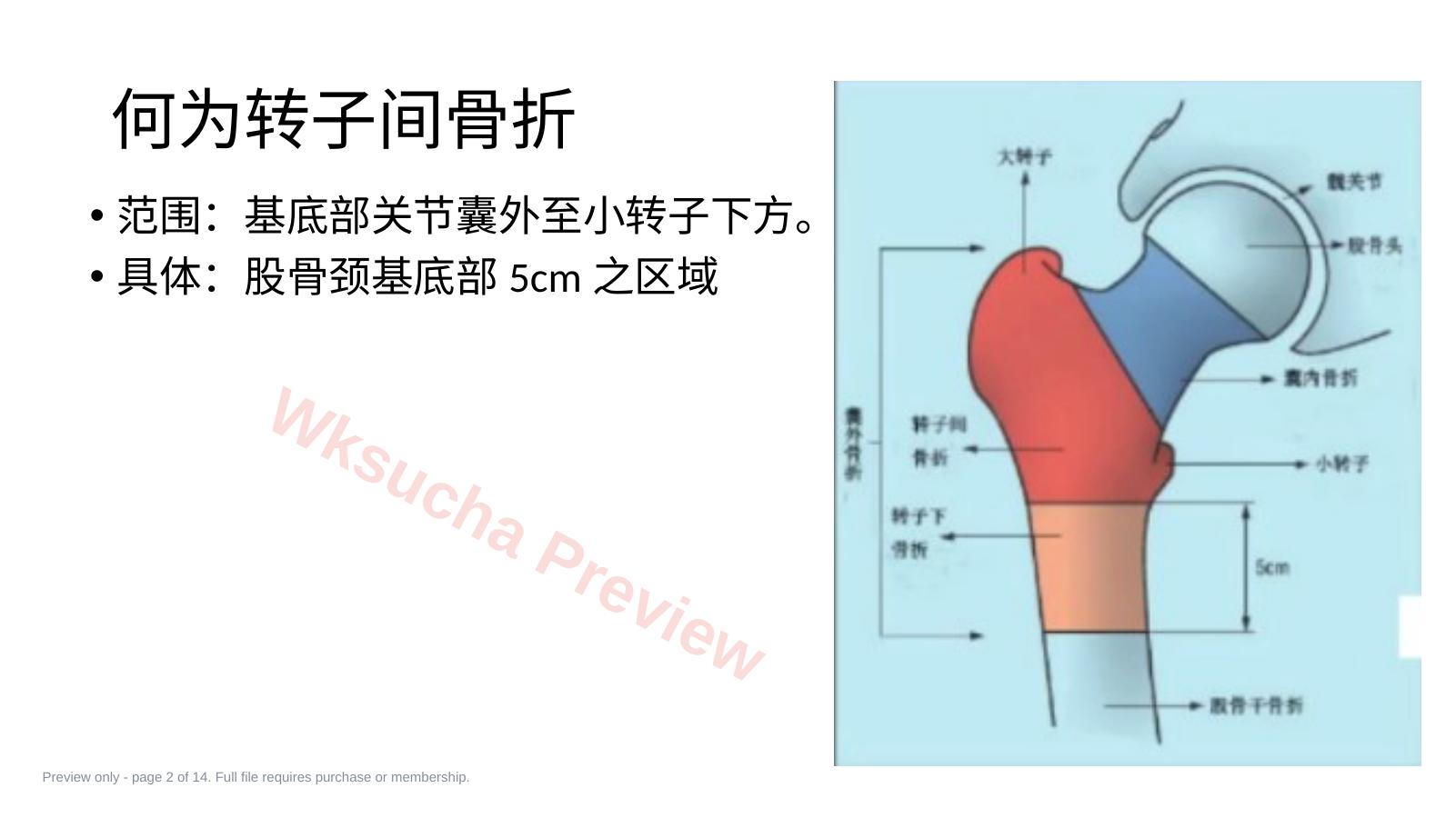 预览第 2 页