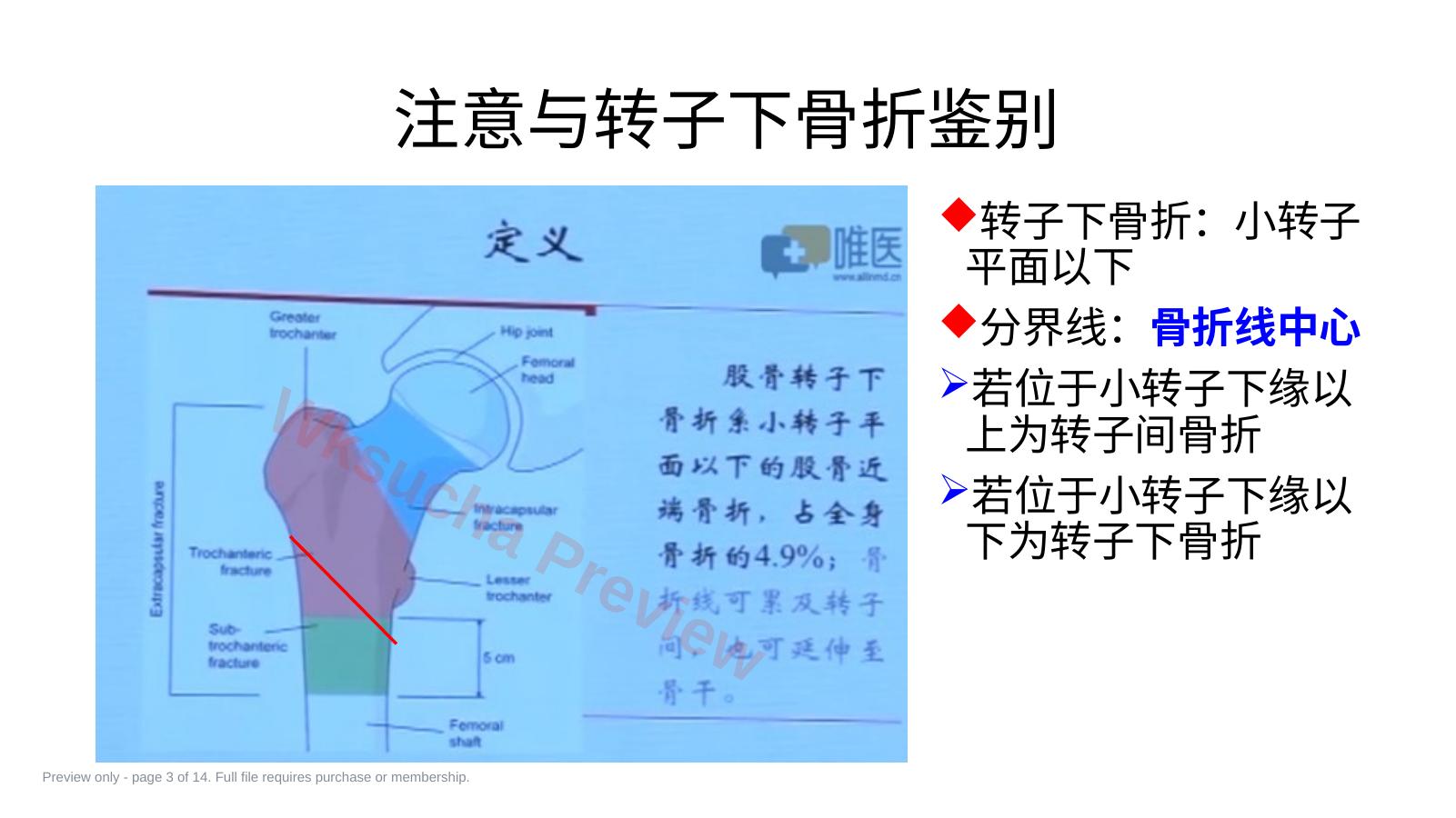 预览第 3 页